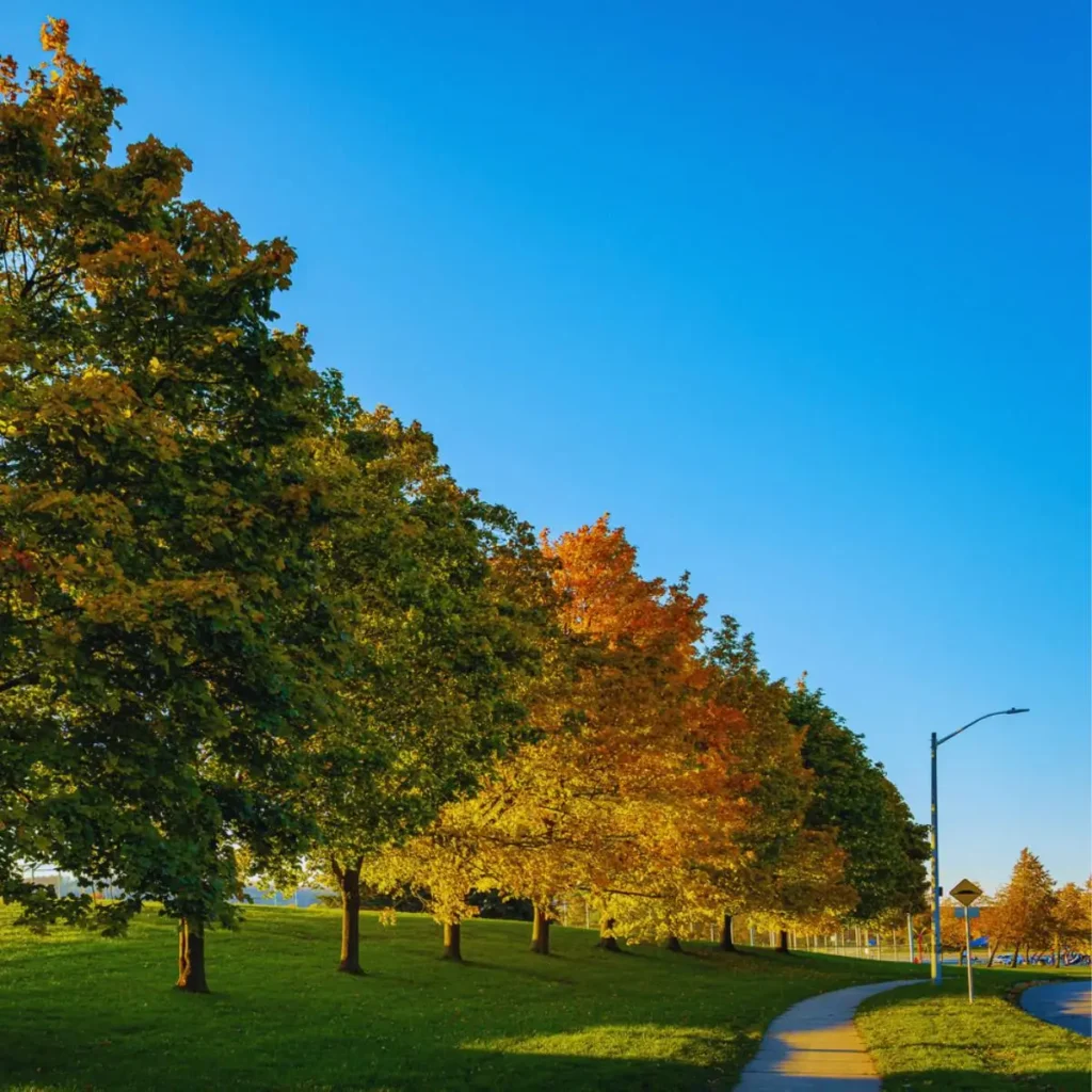 Brant Hills community park, Brant Hills, ON